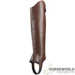 Ariat Concord Chap - Brun