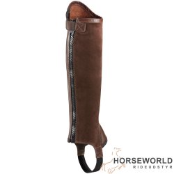 Ariat Concord Chap - Brun
