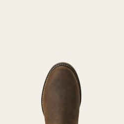 Ariat Wexford H2O Vandtt Jodhpurs Dame - Java
