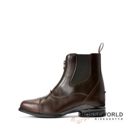 Ariat Devon Nitro Paddock Herre - Waxed Chocolate