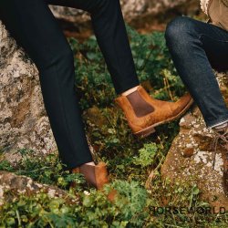 Ariat Wexford H2O Vandtt Jodhpurs Dame - Weathered Brown