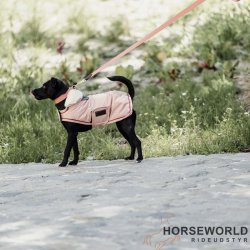 Kentucky Dog Coat Hundedkken Vandtt 160g - Coral