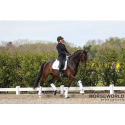 Finesse Bridles Hannoveransk Trense - Sort/Sort/Slv