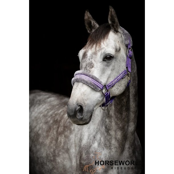 K�llquist Grime m. Plys - Lilla/Gr�