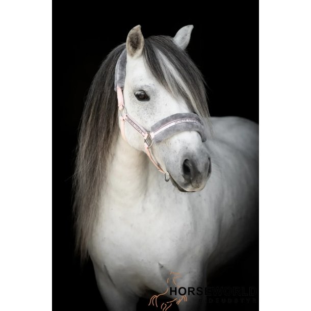 K�llquist Grime m. Plys - Rosa/gr�