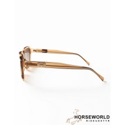 HST Harvest Sunglass - Brown 