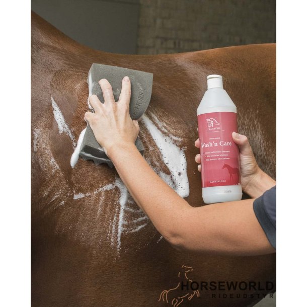 Blue Hors Care Wash'n' Care - 1 l