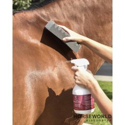 Blue Hors Care Clean &amp; Dry - 1L
