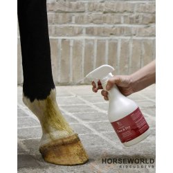 Blue Hors Care Clean &amp; Dry - 1L