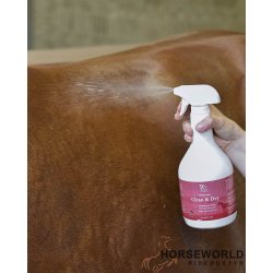 Blue Hors Care Clean &amp; Dry - 1L