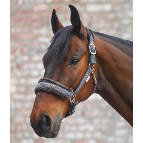 Waldhausen Elegant Grime - Asphalt