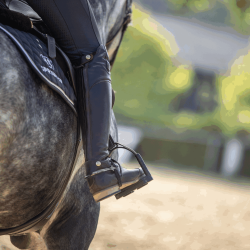 Sprenger Stigebjler BowBalance - Anthracite