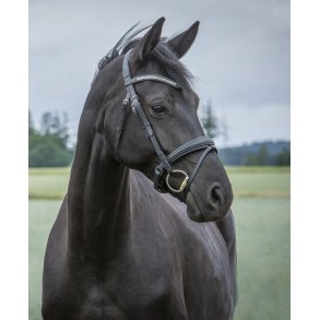 ByWeber Sofia Trense - Sort/Slv