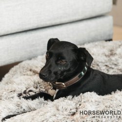 Kentucky Comfy Donut Hundekurv - Brun