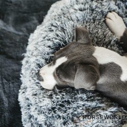 Kentucky Comfy Donut Hundekurv - Gr