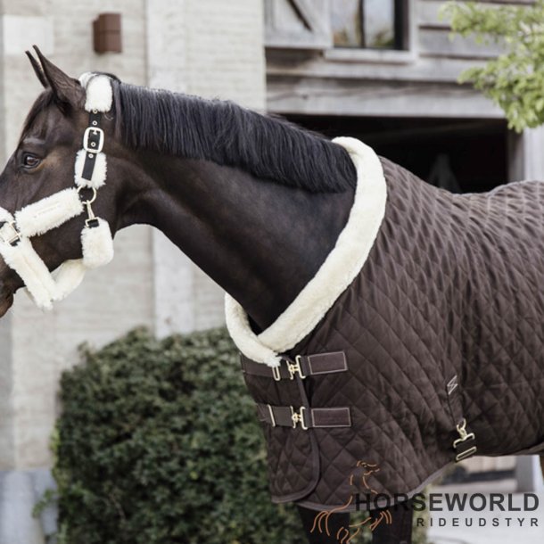 Kentucky Show Rug 160g - Brun