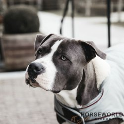 Kentucky Dog Coat Hundedkken Vandtt 160g - Dusty Blue