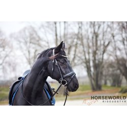 HG Cryll Trense m. Aachner Nsebnd - Sort