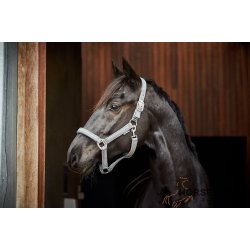 HG Jewel Grime - Slv