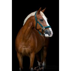 HG Diya 2.0 Grime - Grn 