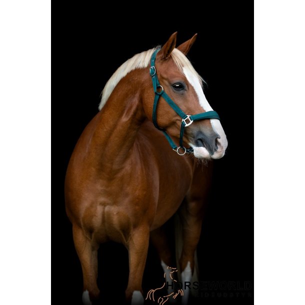 HG Diya 2.0 Grime - Grn 