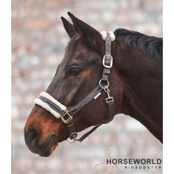 Waldhausen Elegant Grime m. sten - Chocolate Brown