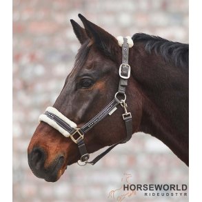 Waldhausen Elegant Grime m. sten - Chocolate Brown