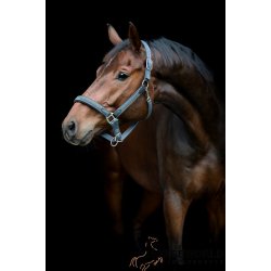 HG Vardia Flet Grime - Asphalt 