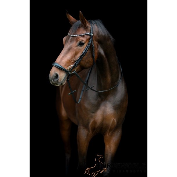 HG Cryll 25.2 Trense m.  Hannoveransk Nsebnd - Sort