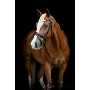 HG Cryll 25.2 Trense - Sort