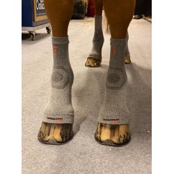 Circulation Hoof Socks One Size - 2 stk.