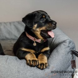 Kentucky Velvet Hundehalsbnd - Old Rose