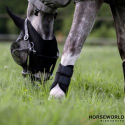 Equest AirFlow Mesh Gamacher - Sort