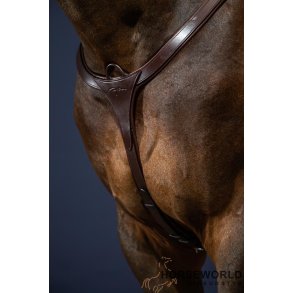 Dy'on Fortj M. Brystplade og Lang Bro New English Collection - Brun