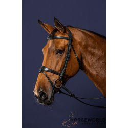 Dy'on Flash Anatomisk Trense New English Collection - Sort