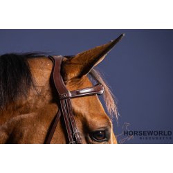 Dy'on Flash Anatomisk Trense New English Collection - Sort