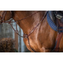 Dy'on Running Martingal New English Collection - Brun