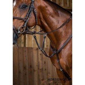 Dy'on Running Martingal Working - Brun		