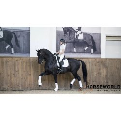 Lemieux Loire Classic Dressur Underlag - Hvid