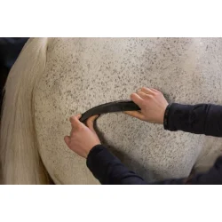 Excellent Grooming Brush Alt-i-En - Sort