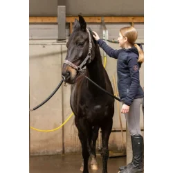 Excellent Grooming Brush Alt-i-En - Sort