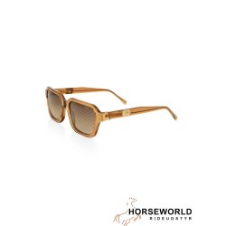 HST Harvest Sunglass - Brown 