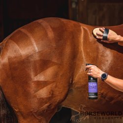 Carr &amp; Day &amp; Martin Dream Coat - 500 ml.