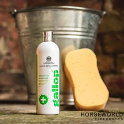 Gallop Medicated Shampoo - 500 ml.