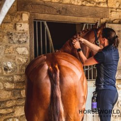 Carr &amp; Day &amp; Martin Dream Coat - 1 l.