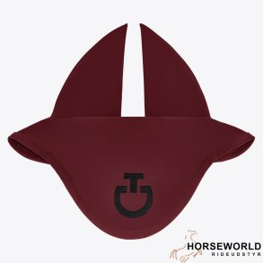 CT Light Weight Jersey Stripe Fluehtte - Bordeaux