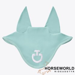 CT Light Weight Jersey Stripe Fluehtte - Light Teal Green