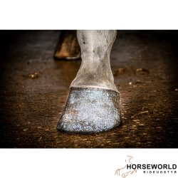 Excellent Hi Gloss Hov &amp; Pels Glitter - S�lv