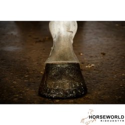 Excellent Hi Gloss Hov &amp; Pels Glitter - Guld