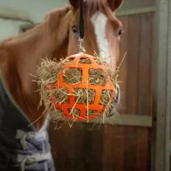 Hay Slowfeeder Fun &amp; Flex Bold 22 cm - Orange